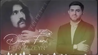 Perviz Zeyn - Dunya Fani / Sehidler (Yeni 2024)
