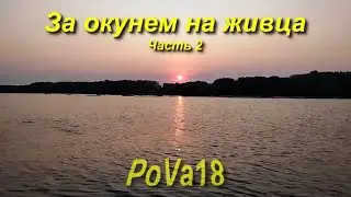 За окунем на живца часть 2