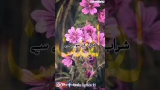 like subscribe