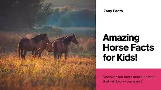 Amazing Horse Facts For Kids!