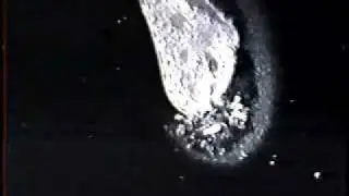 bare rife device destroying paramecium