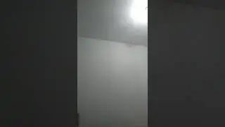 5 de dezembro de 2019