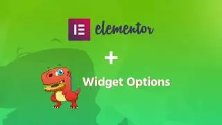 Widget Options Elementor Pagebuilder Support