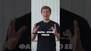Свет