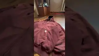Carhartt zip hoodie #школа #qmiir #phonk #shortvideo