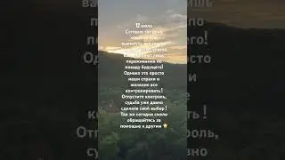 12 июля карта дня #таро #картадня