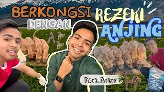 Pemuda Berkongsi Rezeki Dengan Anjing Liar