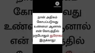 26 June 2024