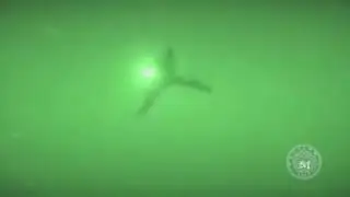 Etzão fugindo pro mandela