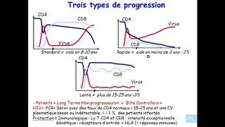 immunologie de l'infection VIH  partie 4
