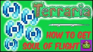How To Get Soul of Flight (Easy) In Terraria | Terraria 1.4.4.9
