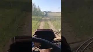24 мая 2024 г.