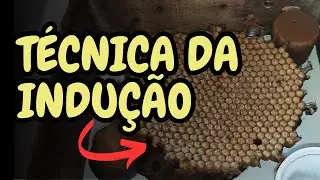 CONHEÇA A TÉCNICA DA INDUÇÃO