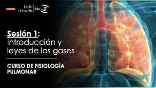 Introducción a la fisiología pulmonar y leyes de los gases