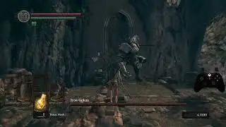 Iron Golem DSR NWW