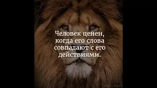 Проект лев против/Руководитель проекта герой нашего времени/ ИЛИ НЕТ?