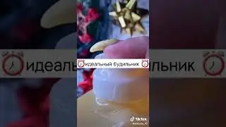 спасибо за 27 подпищиков 😊