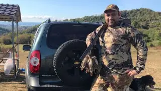 Охота на перепела