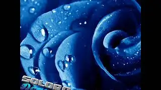 SoloRo - Dear LeShae (Prod By TnTXD x Relly Made)