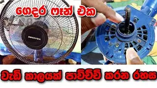fan repair sinhala | ගෙදර ෆෑන් එක කාලයක් පාවිච්චි කරන රහස  | Fan repair at home
