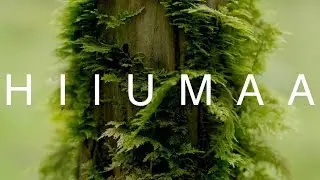 Hiiumaa | Sony FS7 4K