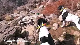 Scuderia Svourixtis vs Chukar