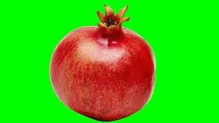 Zoom in Pomegranate Green Screen Copyright Free