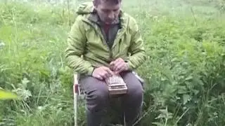 русская калимба и соловей 1