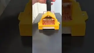 What is the MOST powerful Rat Trap? 