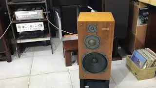 Аналоговый преобразователь от Ямахи. Акустические системы Yamaha ns-1200classic