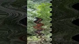 Tik Tok(9)