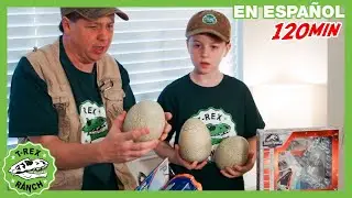 Enfrentamiento con raptores y un bebé T-Rex | 🦖 T-Rex Rancho | Moonbug Kids - Parque en Vivo!