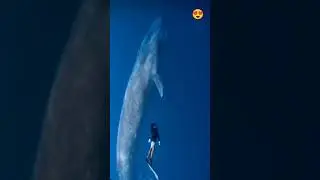 #beautiful