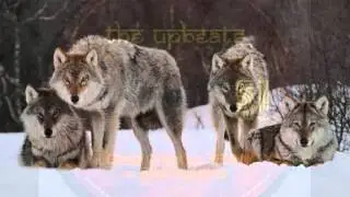The Upbeats - Stick Together