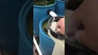 Cleaning RDF screen part 1