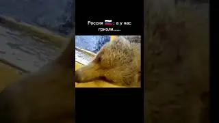 мем Россия vs США 