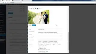 Como configurar el plugin 