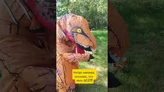 Вспомним ушедшее лето #летоушло #будемждать #котикиневротики