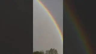 радуга