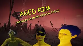 Aged rim Primary human visual field