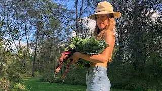Sweet Potato Harvest | Growing Microgreens | Autumn Equinox