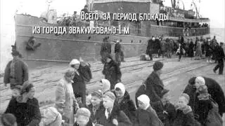 ROLIK 10