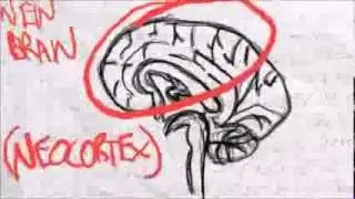 Neuropower Executive Coaching with Clarke & Associates Research