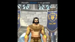 |WoWHardcore Soulseeker Шаман| компьютерный клуб качественных стримов открыт