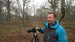 Landskapsfotografering - Skogen