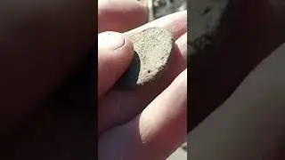 коп 2023, коп 2022, пошук монет, пошук золота, gold digger, treasure hunter
