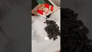 СЕМЕЧКИ И ПИВО 