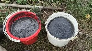 Зола, как осенняя подкормка для растений в огороде. Готовим зольный раствор