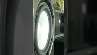 Focal vs Magnat Speakers
