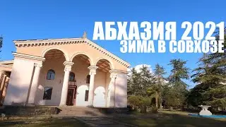 АБХАЗИЯ ЦИТРУСОВЫЙ СОВХОЗ ЗИМОЙ 2021